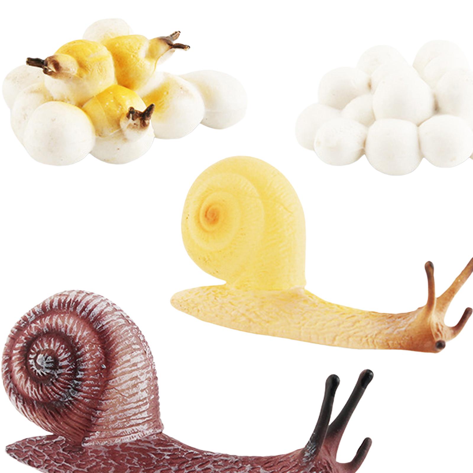Kids Toys Cycle - Giocattolo Educativo per la Prima Infanzia: