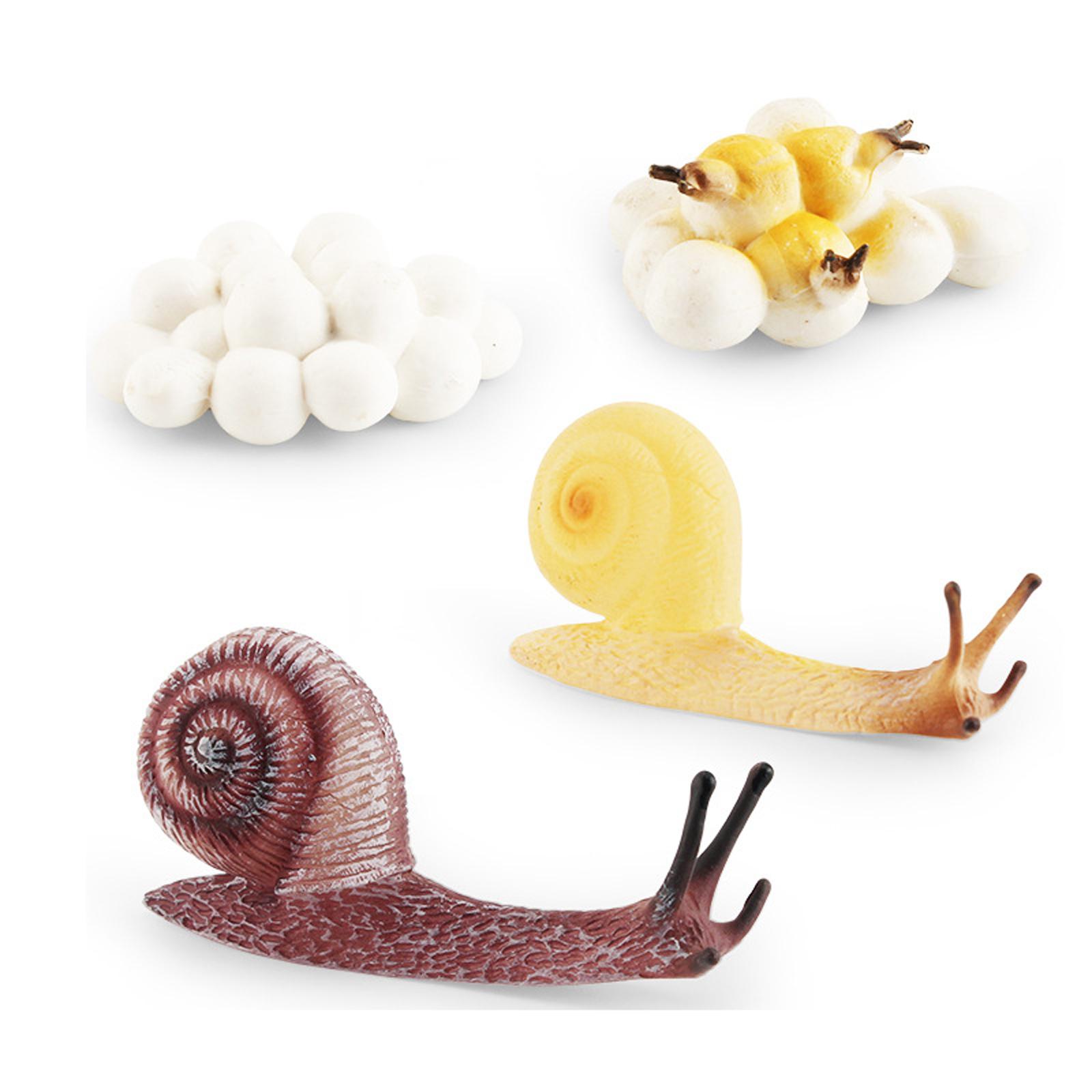 Giocattolo Educativo per la Pr - Kids Toys Cycle recensione e prezzo